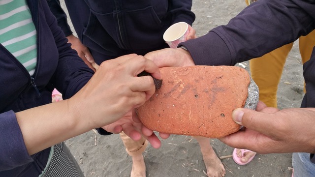 IMG_20190501_125355.jpg