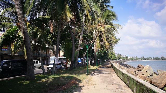 IMG_20181222_143010.jpg