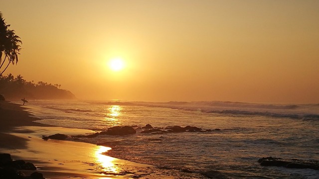 IMG_20190108_064157.jpg